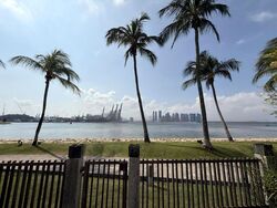 Coral Island (D4), Detached #469698731